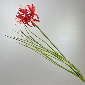 بيع بالجملة زنبق عنكبوت حرير صناعي أبيض بأوراق شجر - Product Image 5