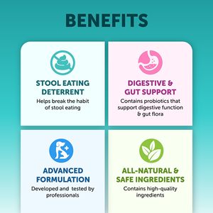 Probiotiques de marque privée OEM <span class=keywords><strong>pour</strong></span> chiens-Santé digestive <span class=keywords><strong>et</strong></span> allergies saisonnières Suppléments de soins de santé <span class=keywords><strong>pour</strong></span> animaux de compagnie à mâcher - Product Image 2