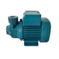 Pompe de surpression électrique auto-amorçante haute pression PK60 220V 0,5-1 CV pour usage domestique, pompe de surpression pour robinet, pompe de circulation pour chauffage