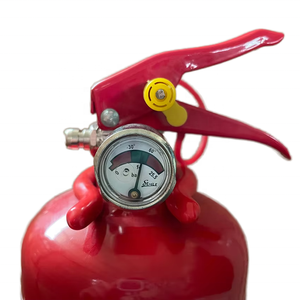 الأكثر مبيعاً 1-جهاز إطفاء آلي محمول من الفولاذ من نوع DCP ، رغوة ماء فعالة 6 من جهاز الاستنشاق بثاني الكربون لمقاتلي الحرائق - Product Image 2