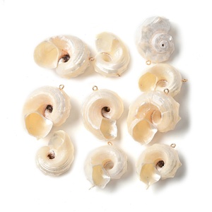 PandaHall 30 Pezzi Ciondoli a Forma di Conchiglia Naturale alla Moda con Anelli in <span class=keywords><strong>Ferro</strong></span> Tono Oro Chiaro per Braccialetti - Product Image 4