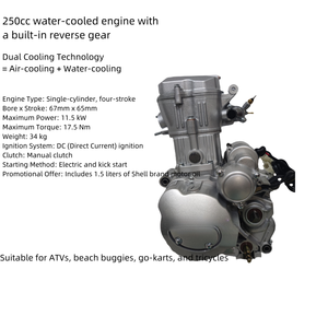 Motor para ATV de 250cc, Motor de Motocicleta de 250cc Refrigerado por Agua, Apto para ATVs, Buggies de Arena y Go-karts. - Product Image 2
