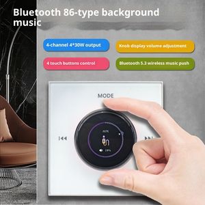 Vente en gros 2X25W Mini amplificateur <span class=keywords><strong>de</strong></span> son surround stéréo intelligent pour récepteur mural Bluetooth avec contrôleur intelligent <span class=keywords><strong>de</strong></span> musique <span class=keywords><strong>de</strong></span> <span class=keywords><strong>fond</strong></span> - Product Image 2