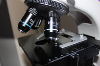 Hot Selling Optical Instrument Biological Digital Microscope Trinocular Microscope with Camera and Display