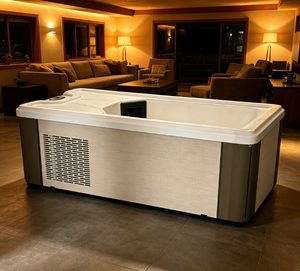 Vanace Commercial Acrylic Ice Bath Tub All in One with Chiller and <b>Filter</b> for Hotel Gym Spa - Product Image 1