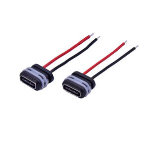 Wasserdichter Typ-C-Anschluss Buchse, und Geeignet für Wasserstande bis zum Level 7 gemäß dem CtoC-Teststandard. - Product Image 3