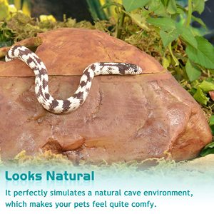 Peau de serpent et cavités, cachette de reptiles en résine <span class=keywords><strong>Gecko</strong></span> abri humide en forme de roche accessoires de réservoir de <span class=keywords><strong>lézard</strong></span> pour serpent de maïs serpent <span class=keywords><strong>vert</strong></span> - Product Image 4
