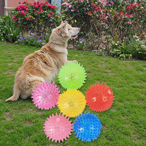 Bola de goma para saltar luminosa pequeña ecológica, juguete para masticar TPR estable para mascotas, duradero, divertido para perros y gatos, mordedura resistente a la molienda - Product Image 1