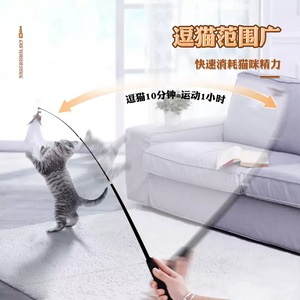 Jouets pour chats, jouets interactifs pour chats, longues baguettes avec plumes extensibles, têtes interchangeables, clochettes, cannes à pêche et un guide complet sur le thème des chats. - Product Image 1