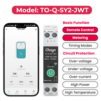 Interrupteur intelligent Wi-Fi Tuya sur rail DIN avec disjoncteur de mesure MCB 90-240V 63A, modes de temporisation pour maison/bureau/bâtiment CB/CE Chayo