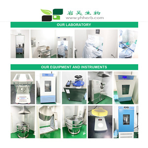 Chăm sóc sức khỏe cấp thực phẩm beta-nicotinamide adenine dinucleotide giảm dipotali nadh + Bột tổng hợp nguyên liệu trung gian - Product Image 2