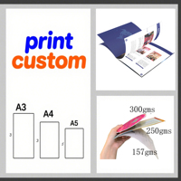 Impresión Personalizada de Folletos Comerciales, Catálogos de Productos, Folletos, Menús, Pósters Grandes, Impresión UV en Papel de Arte de una Sola Página