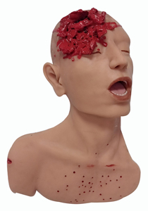 Modelo Anatómico de Cabeza de Silicona Suave de Tamaño Real para Disección Forense con Estructuras Anatómicas Detalladas para Educación Médica Legal - Product Image 1