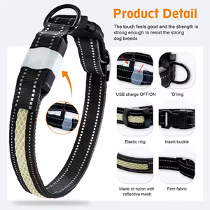 <span class=keywords><strong>Collar</strong></span> de perro <span class=keywords><strong>Led</strong></span> de varios colores controlado por aplicación, <span class=keywords><strong>Collar</strong></span> de perro impermeable recargable por USB, luz para seguridad nocturna, <span class=keywords><strong>Collar</strong></span> <span class=keywords><strong>Led</strong></span> para mascotas - Product Image 6