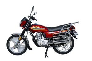<span class=keywords><strong>Moto</strong></span> électrique 100-200Cc E Dirt Bike 162FMI-E vendu en usine pour une utilisation en croisière et en Streetbike - Product Image 4