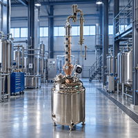 Colonne de Distillation Commerciale 200L en Acier Inoxydable et Cuivre pour Whisky, Vodka, Éthanol, Certifiée CE, Vente Directe Usine