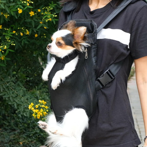 Breathable Mesh Pet Carrier Backpack Adjustable <b>Dog</b> Travel Bag Portable Small Medium Pet <b>Sling</b> for Outdoor Walking - Product Image 1