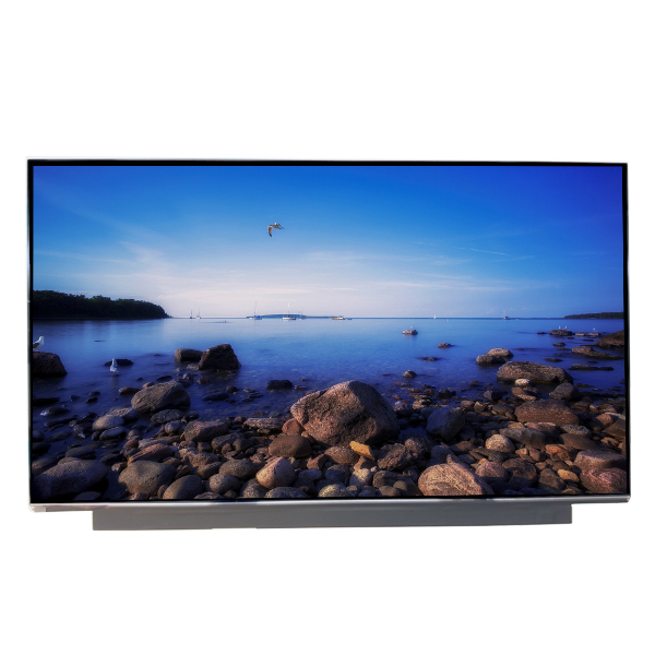 ATNA56YX03-0 15.6 Inch OLED TFT LCD Display Panel with 1920x1080 Resolution Slim Design 30-Pin EDP Interface