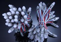 Module LED Pixel Monocouleur en Gros 9mm 12mm 5V 12V Étanche IP68 pour Panneau Publicitaire LED