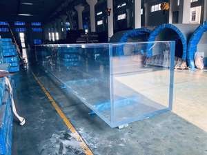 Peixes de Aquário à Venda - Product Image 2