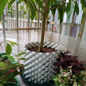 <span class=keywords><strong>Precio</strong></span> directo de fábrica Planta Árbol Flor vegetal Raíz <span class=keywords><strong>Contenedor</strong></span> Reutilizable Aire <span class=keywords><strong>Poda</strong></span> Maceta - Product Image 4