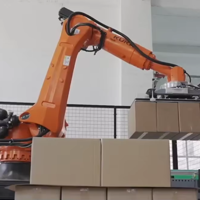 High Positioning Accuracy Pick and Place Robot for Carton Palletizing with Full Solution Design