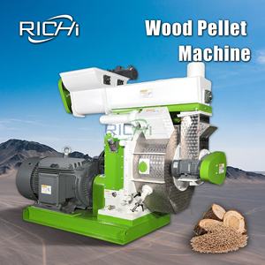 Molino de Pellets de Biomasa RICHI 1-12 T/H, Biocombustible, Pellets de Madera, Ramas de Árboles, Máquina para Hacer Pellets de Madera en Venta en el Reino Unido - Product Image 1