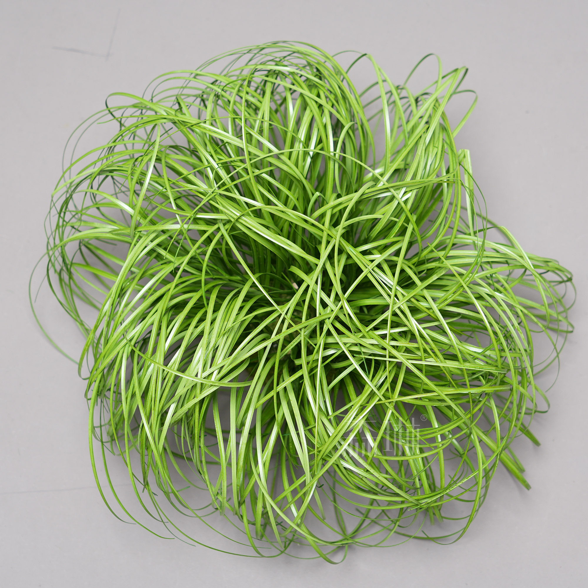 Petit bouquet d'herbe 20 cm de haut-25 cm de large-vert-pré-assemblé