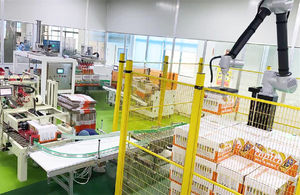 सहयोगी रोबोट पैलेटिजर स्टैकिंग मशीन 10 किलो 20 किलो की बोतलें कार्टन कोबोट पैलेटिज़र - Product Image 4