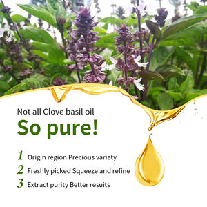 Aceite Esencial de Albahaca 100% Puro y Orgánico - Marca Propia - Destilado al Vapor - Mejor Precio para Relajar la Piel - Product Image 2