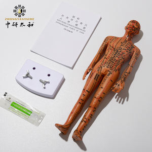 Modelo humano de punto de enseñanza de acupuntura - Product Image 4