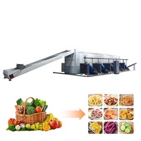Hot Selling Tunnel Droger Fruit Groente Droger Amandelen/Jubes/Pinda 'S Aardbei Droger