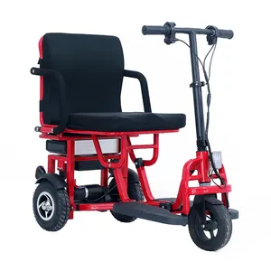 Tricycle électrique pour personnes âgées, 3 roues, pour adultes