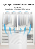 Déshumidificateur portable électrique 12L à faible bruit pour armoire, sous-sol et usage commercial, idéal pour le séchage des vêtements