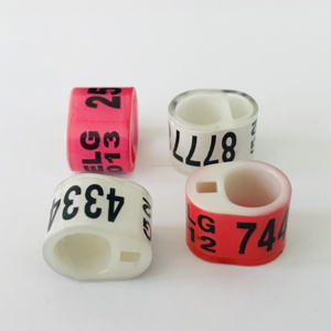 België Plastic Postduif Ringen Elektronische België Vogels Duif Plastic Voet <span class=keywords><strong>Ring</strong></span> - Product Image 3