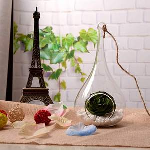 Glas hängende Pflanze <span class=keywords><strong>Terrarium</strong></span> Teardrop <span class=keywords><strong>DIY</strong></span> Luft Sukkulenten Pflanzer Home Outdoor Dekor Hochzeit Event Office Home Decoration - Product Image 4