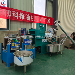 Piccola pressa a olio compatta di piccole dimensioni piena di funzioni adatte alle startup - Product Image 5