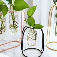 Support de plante en métal hydroponique maison jardin bureau décoration de mariage station de propagation colorée