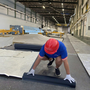 APP SBS Modified Bitumen <strong>Roofing</strong> Membrane TPO HDPE Industrial Grade Water Resistant Outdoor Pond Rubber PE <strong>Plastic</strong> Modern - Product Image 5