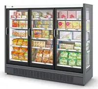 Congelatore a pozzetto di vendita caldo con telai in plastica e congelatore per porte in vetro personalizzato di fabbrica