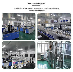 Высококачественная Органическая китайская зеленая Мятная 100% экстракта <span class=keywords><strong>Mentha</strong></span> <span class=keywords><strong>Spicata</strong></span>, терапевтическое эфирное масло мяты - Product Image 5