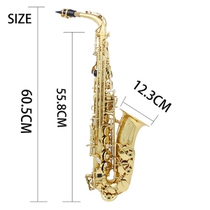 Saxophone alto en lautre en la, laqué or, instrument à vent en bois avec étui de transport, gants, chiffon de nettoyage, brosse, sangle de saxophone, sourdine - Product Image 3