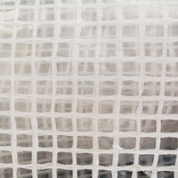 Fournisseur d'usine, bâche en plastique transparente ignifuge et coupe-vent pour échafaudage, 20 x 100 pieds, 6 mil, renforcée par des cordes, polyéthylène