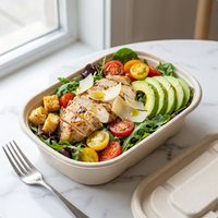 Topverkochte 700ml ovale suikerrietpulp takeaway container 24oz milieuvriendelijke verpakking herbruikbare wegwerpopties deksel voor