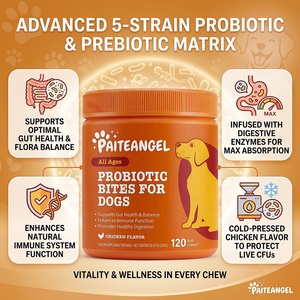Probióticos para Mascotas, Soporte para la Salud Intestinal, Masticables Blandos, 120 Unidades, Prebióticos, Enzimas, Anti-Diarrea, Marca Privada, Suplemento para Perros - Product Image 1