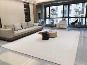 Tapis de chambre entière personnalisé de style nordique, haute qualité, couleur unie, silencieux, tapis de luxe léger - Product Image 2