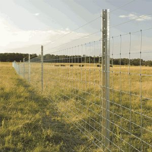 Las fábricas chinas venden cercas galvanizadas para granjas de caballos y ganado para proteger la seguridad de las granjas ganaderas y los pastos - Product Image 4