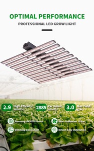 Lampe de culture à spectre complet 1000W avec construction en aluminium, indice de protection IP54, intensité réglable, garantie de 3 ans - Product Image 1