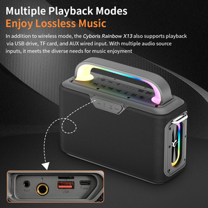 Cyboris X13 2025 200W Karaoke, altoparlante Wireless portatile <span class=keywords><strong>con</strong></span> 2 microfoni, 6.5m Aux, luci RGB e bassi profondi - Product Image 6