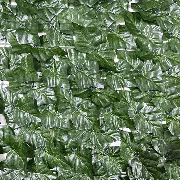 Feuilles de patate douce imprimées en couleur